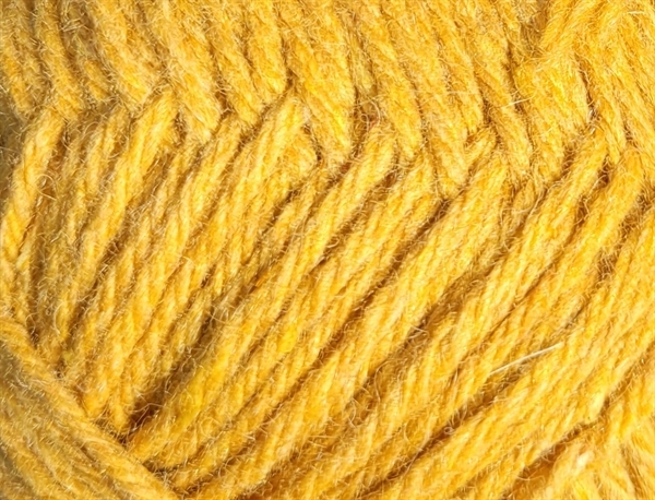 Woolly Marigold